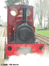 Statfold at Woody Bay