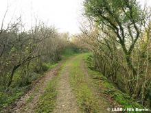 Embankment above Lower Rowley