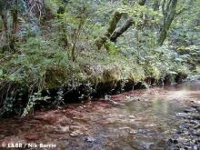 The remains of the culvert beneath Parracombe Bank