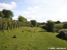 Trackbed immediately beneath and parallel to the A39, near Rowley Cross