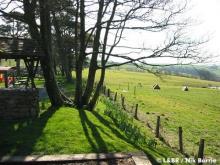 Blackmoor and the new formation below the beer garden