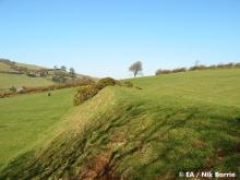 Between Blackmoor and Pound Lane