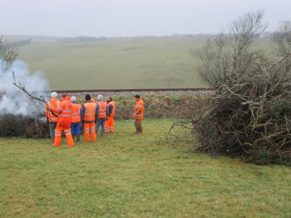 Burning cuttings - damp wood smokes a lot, 30th January 2014